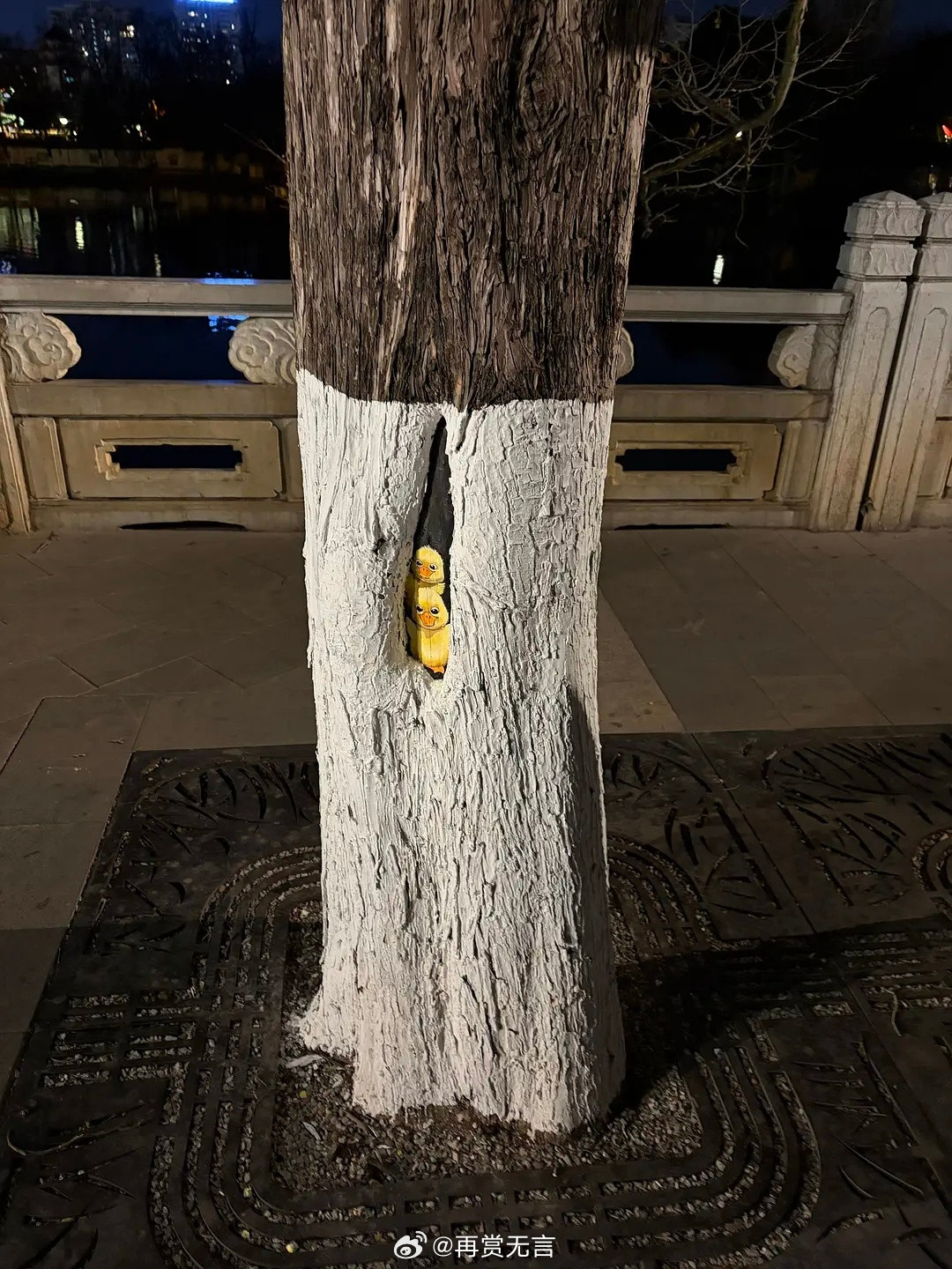 我也想在生活中碰到这种绘画！小猫咪好萌