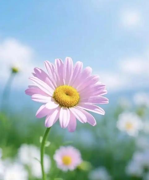 婚姻里智慧的女人，都懂得这五“不”都说好女人是家里的风水。她们通常都做到