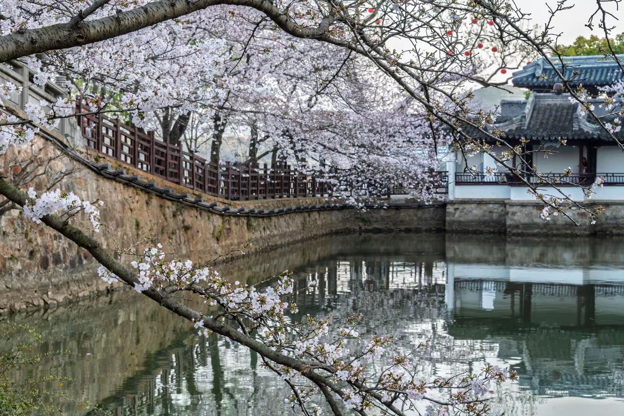 无锡鼋头渚。无锡鼋头渚原创摄影旅行摄影的诗意瞬间