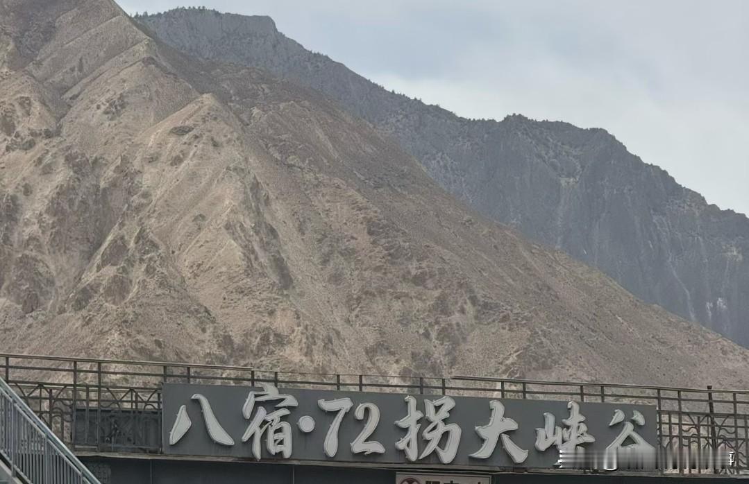 都说种瓜得瓜，种豆得豆，结果狸猫换太子都说种瓜得瓜，种豆得豆，种