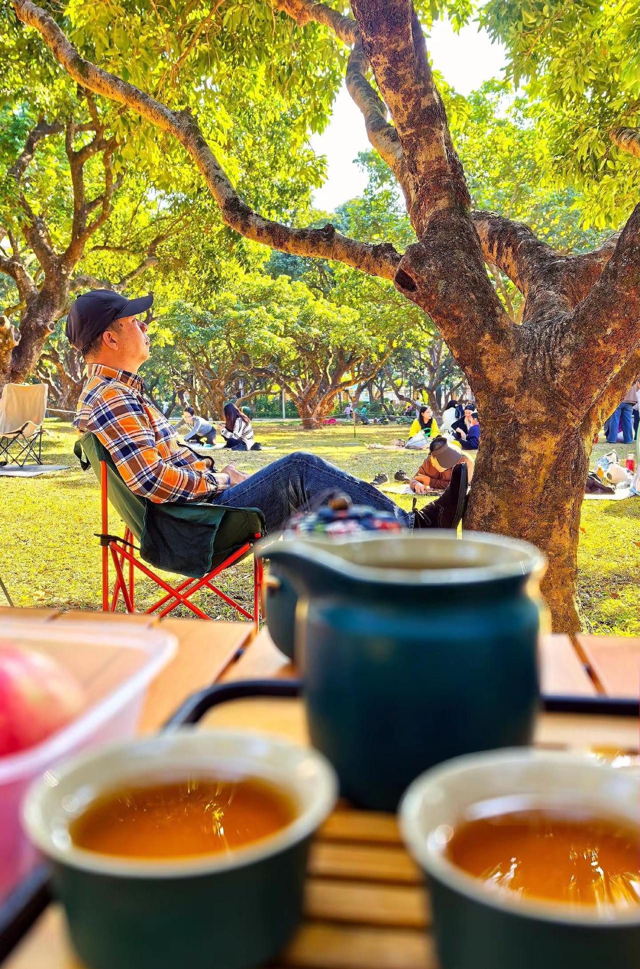 步履放缓，心向安然！