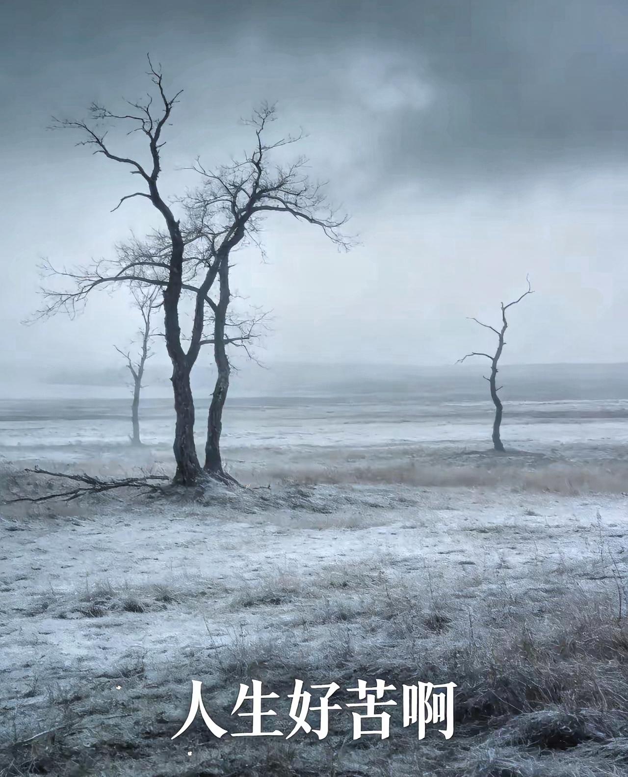 人生好苦啊！今天上午，妻子告诉了我一个非常悲痛的消息。四年前失去