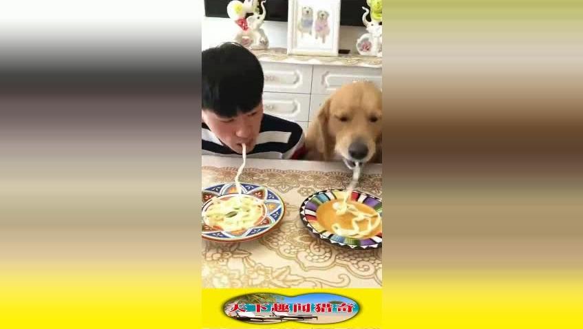 吃视频(上)_土豆菜品面条摆盘注意事项图片