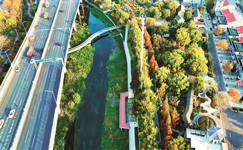 青岛雁山巨变实探！昔日脏乱城中村竟成科技精英争相入驻的生态新城，河畔夜景美到让人