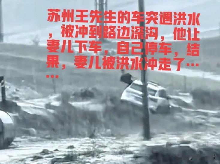 一次自驾，一家三口遇洪水，阴阳两隔苏州王先生与妻子趁暑假，带刚过完11岁生日