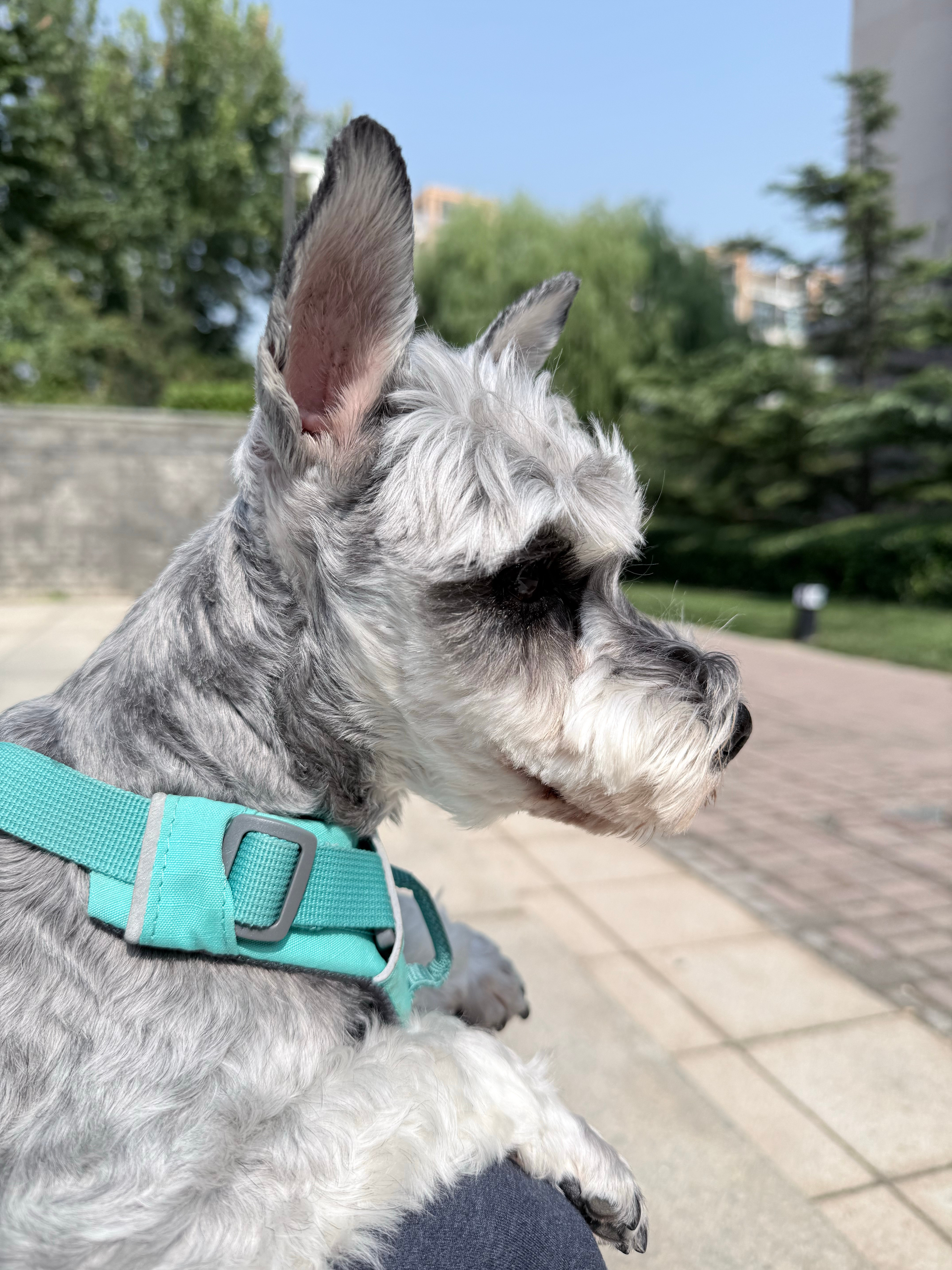 可爱🥰​​​