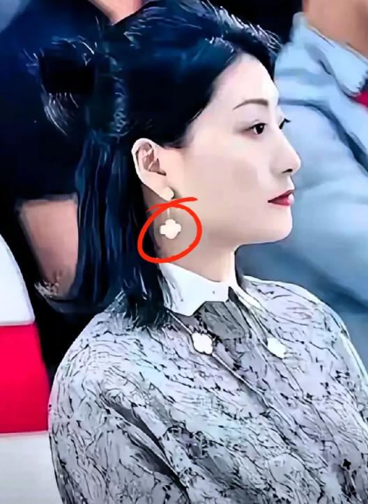 宗馥莉的处境正牌继承人，家里却没人帮她说话，连亲妈都沉默。都知道她性格硬