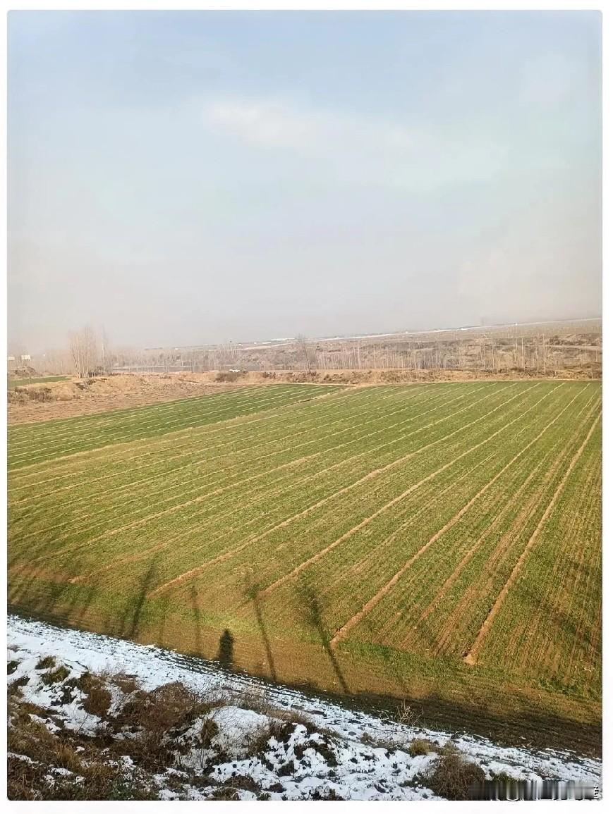 新的殡葬制度将于2026年3月30日执行。实际上最简单可行的是：人死后化火装入