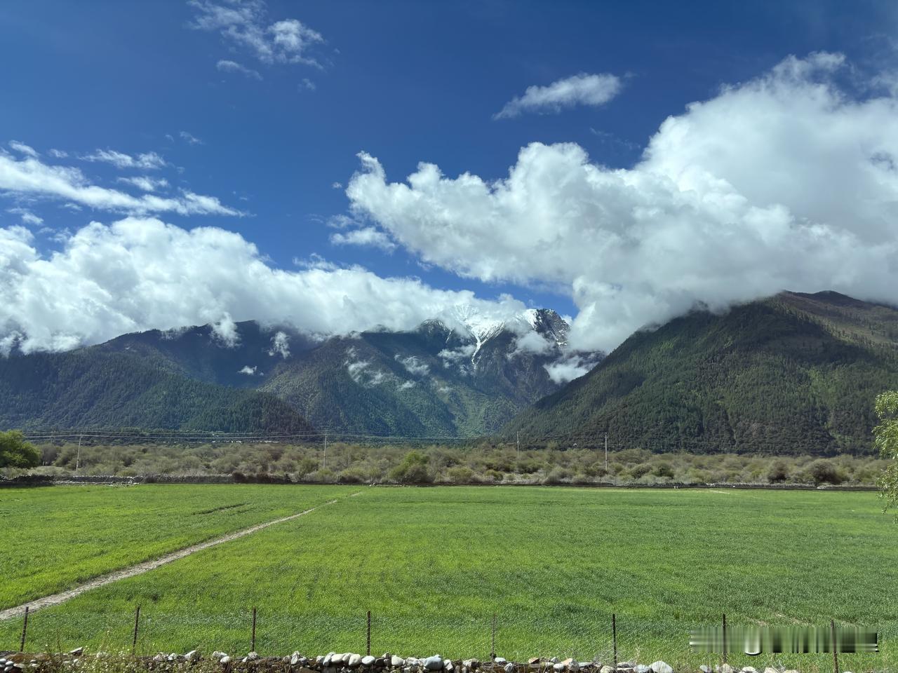 我参加这个去西藏的旅游团，是全团唯一年龄超过七十岁的。六十多岁的伙伴问：你孩子同