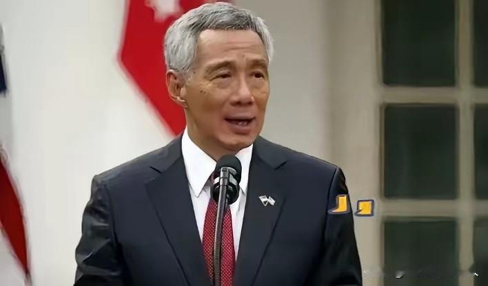 马六甲变局！ 新加坡慌了！新加坡这几年经常说自己2024年港口集装箱吞吐量4