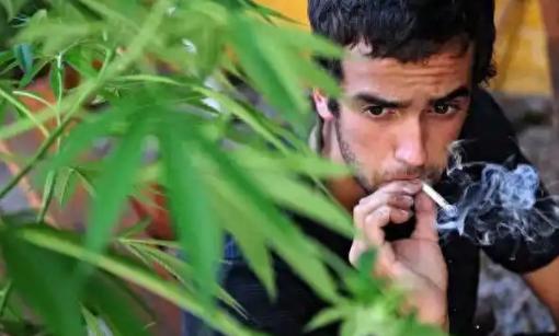 终于明白为什么欧美要大麻合法化了，结合斩杀线，那么多底层在斩杀线徘徊，必须让他们