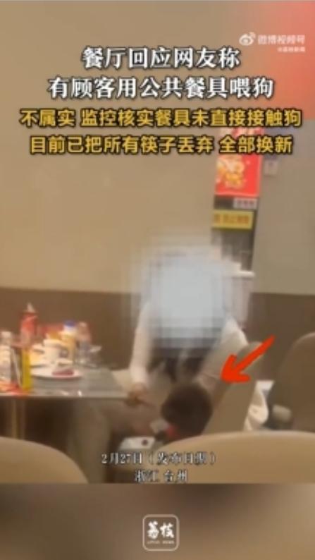浙江一餐厅顾客用筷子喂狗？餐厅称不属实，网友：狗蹲椅上就不对是没有直接筷子喂