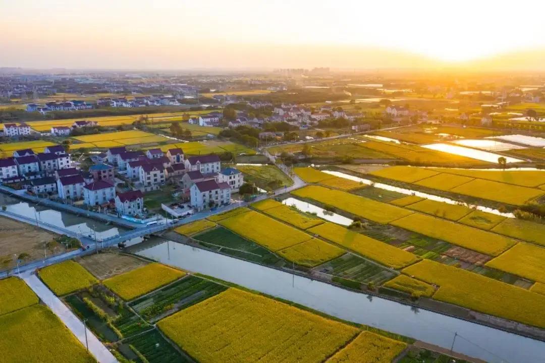上海出“王炸”，深圳输得“心服口服”上海“五个中心”——国际金融中心、国际贸易