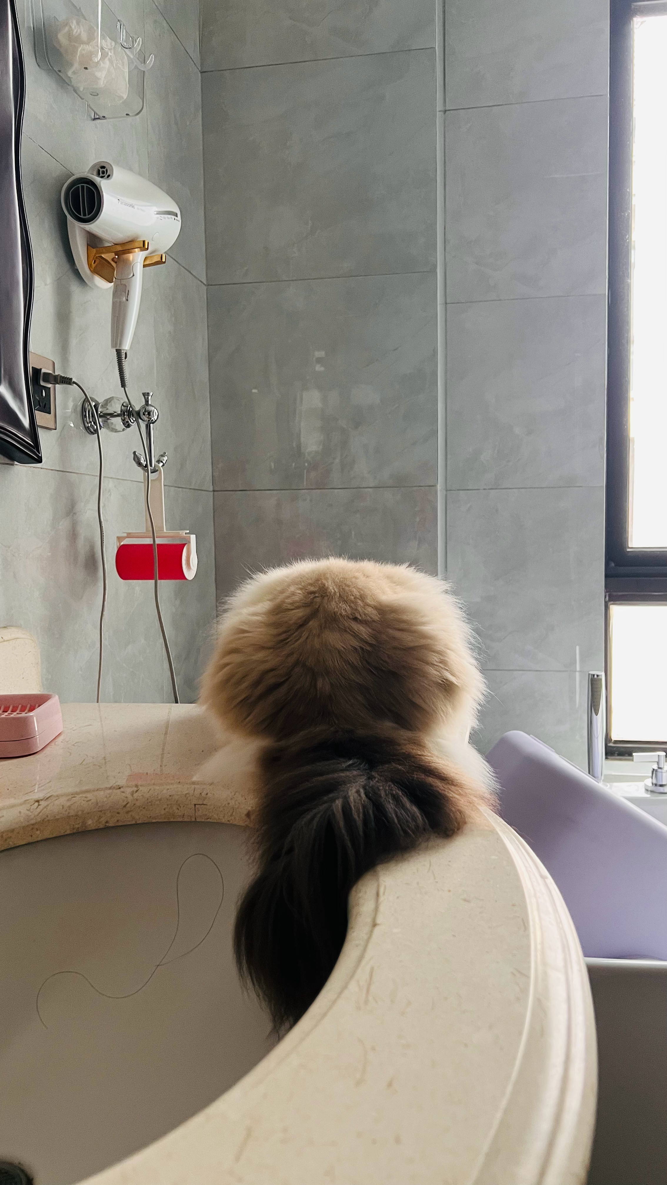 猜屁股