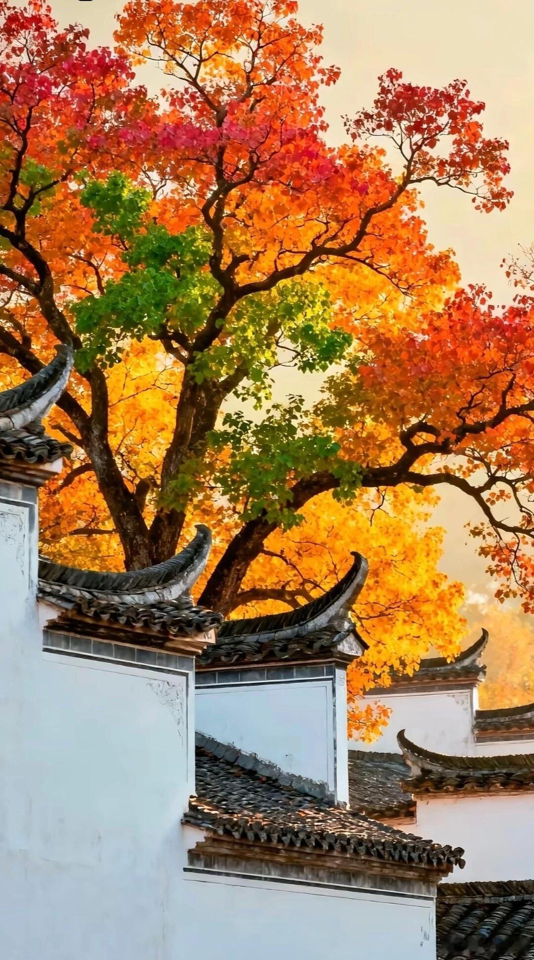 有空给孩子们讲讲三条鱼的故事吧。第一条：是海洋深处的大马哈鱼。母马哈鱼产完卵后，