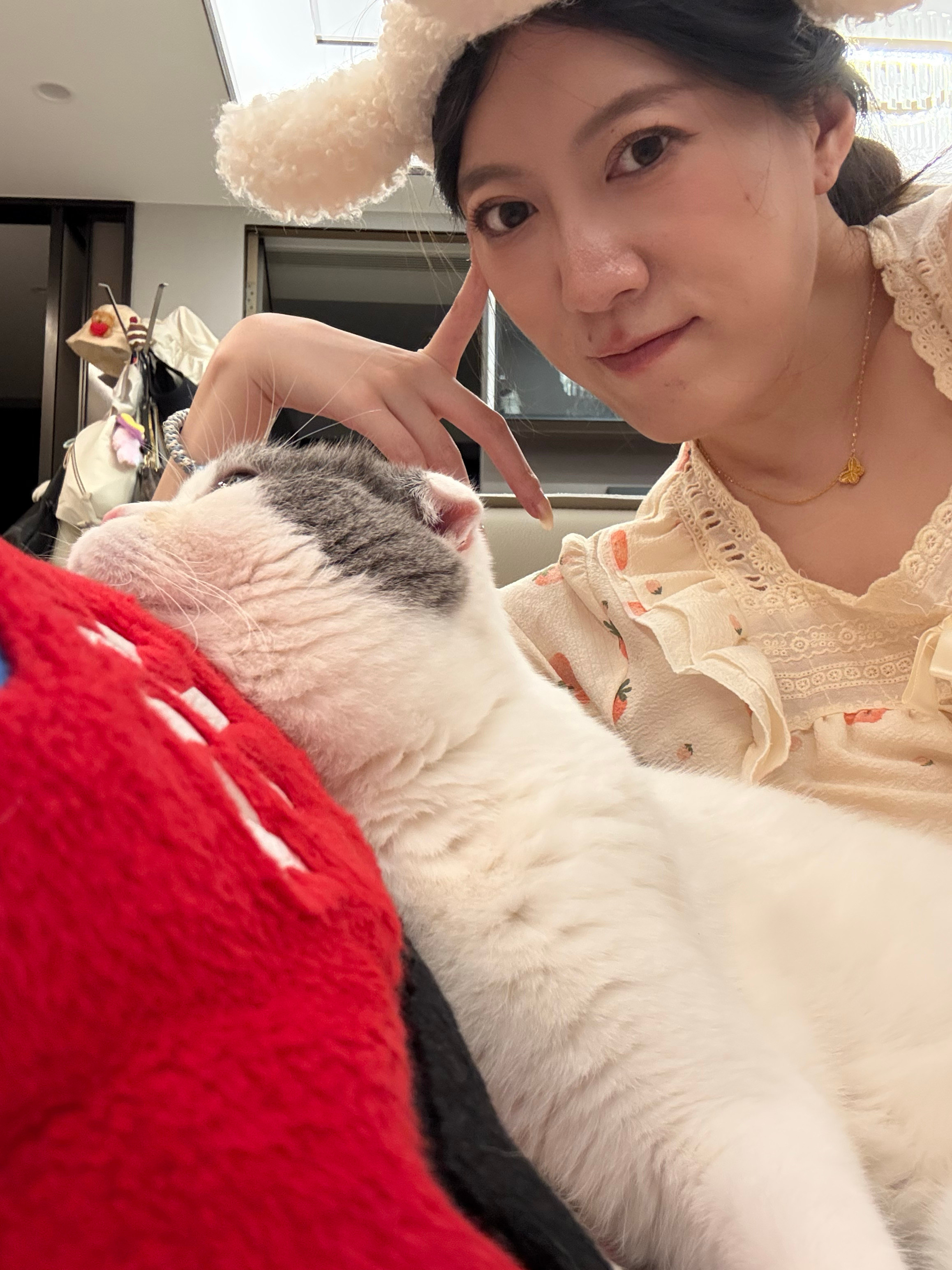 你娘收拾新家，你爹打扫旧家你躺在沙发上吹空调很舒服吧[并不简单]（租房，没买房