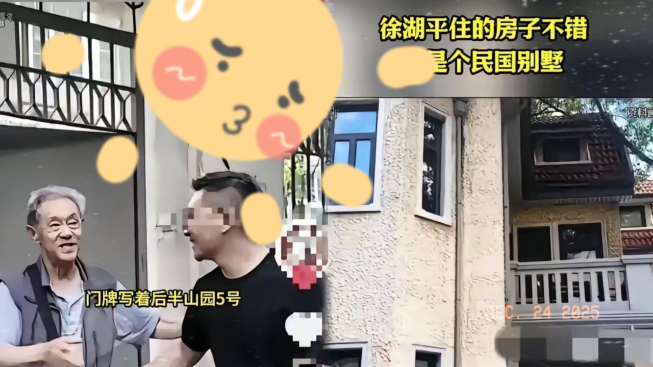 南博前院长徐湖平，越挖越让人看不懂！住南京博物院旁的民国独栋，说是老革命父亲留下