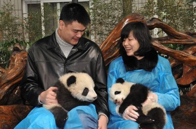 “我不想和你睡了！不然会有生命危险！”2011年，姚明被老婆这样说，着实非常丢人