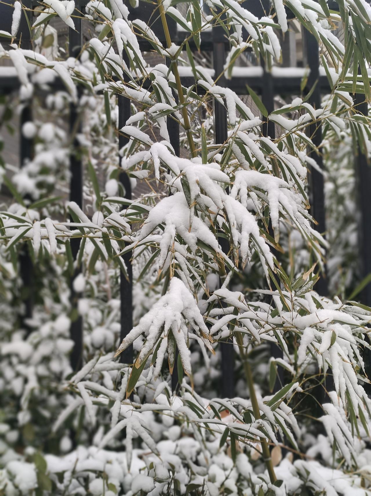 别再内耗了，人生本就不必太用力99%的人看完都沉默了，原来活得通透，只需要