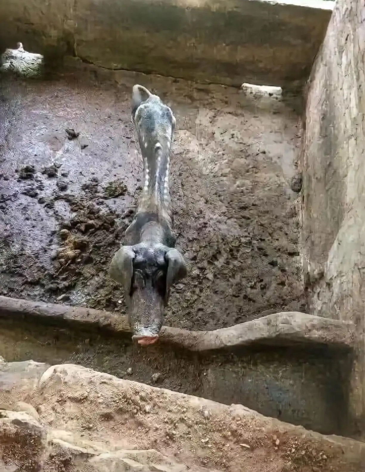 三维变二维，降维打击​​​