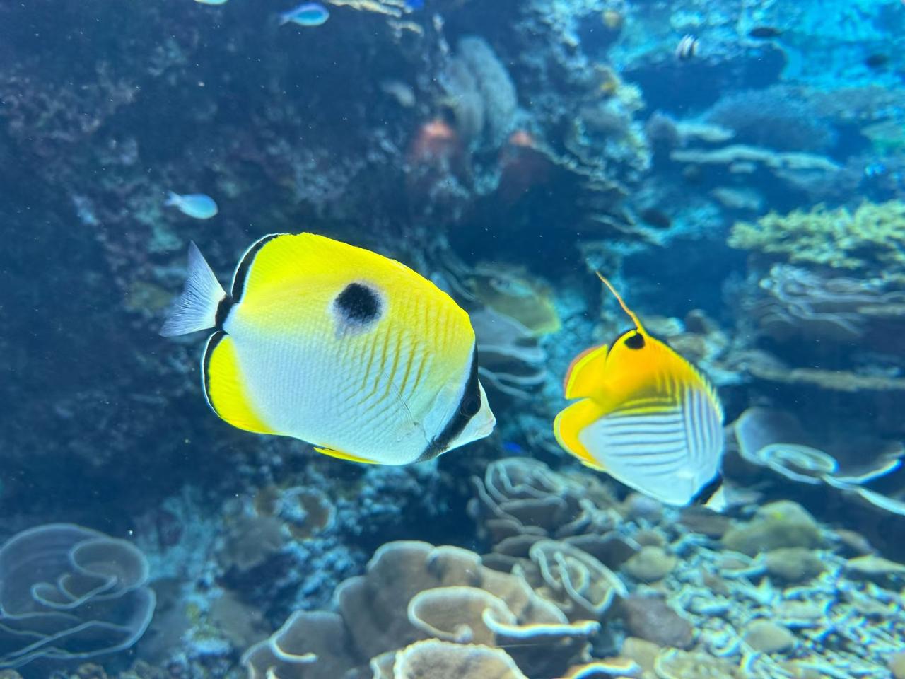 善良的人老天会帮吗?善良的人老天会帮吗？我觉得会。老天的帮忙不是直接给你送