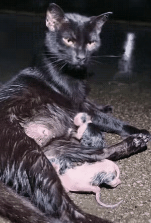 泪目了！一个下着暴雨的夜晚，一位小哥哥下夜班回家，当他走到一个路口的时候，看到了