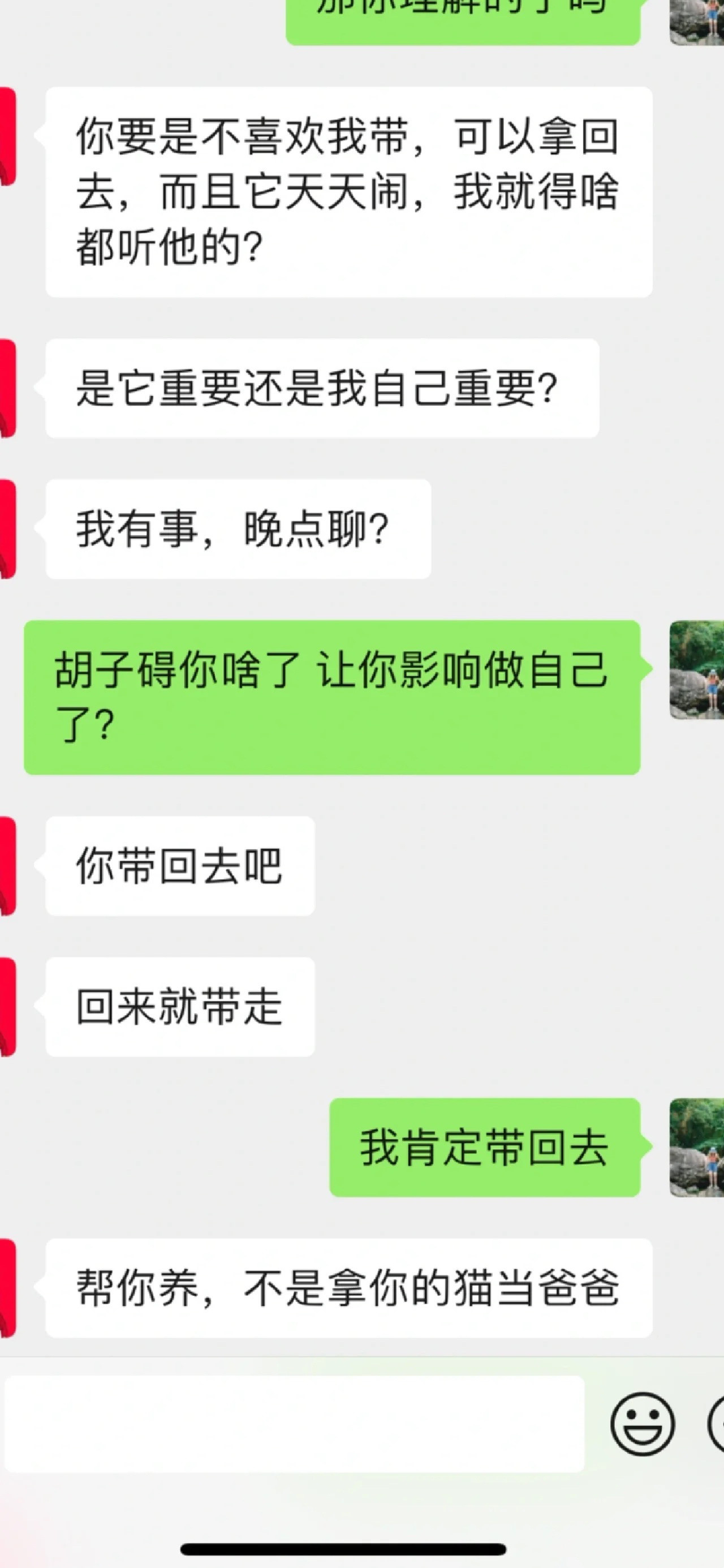 把猫给朋友寄养，他把胡子剪完了！！！​​​