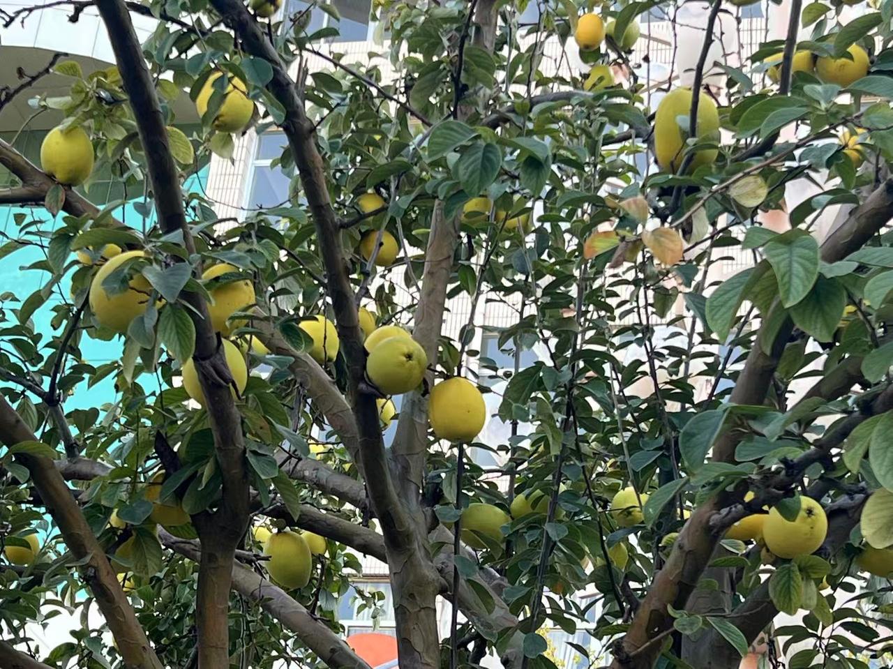 刚才接到某大学的电话，心里顿时涌起一股暖流。事情是这样的：上个学期，这所大学派