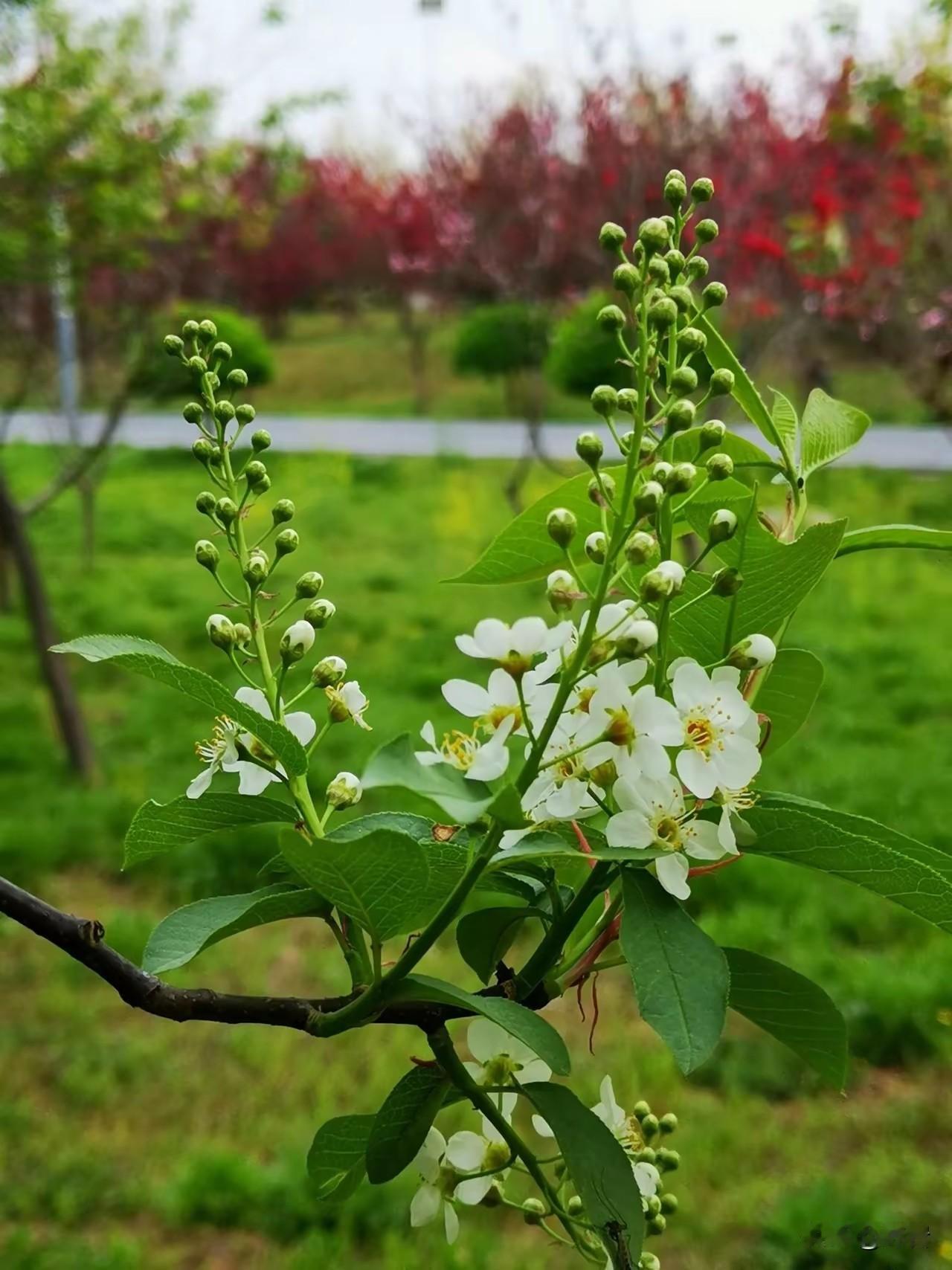 这些节俭存钱好习惯，你学会了吗1. 节俭不是抠门，是对人生的掌控力真正的