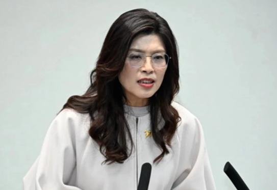国民党，终于把最不敢说的话，让郑丽文说出来了。很多人以为她那套"反对台独、承认九