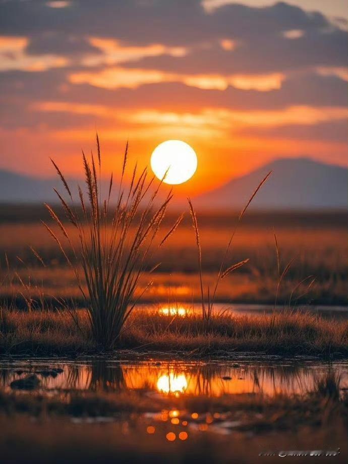 被夕阳染成暖橘色的瞬间，治愈了整座城傍晚的风裹着温柔，阳光把自己晒得透透的