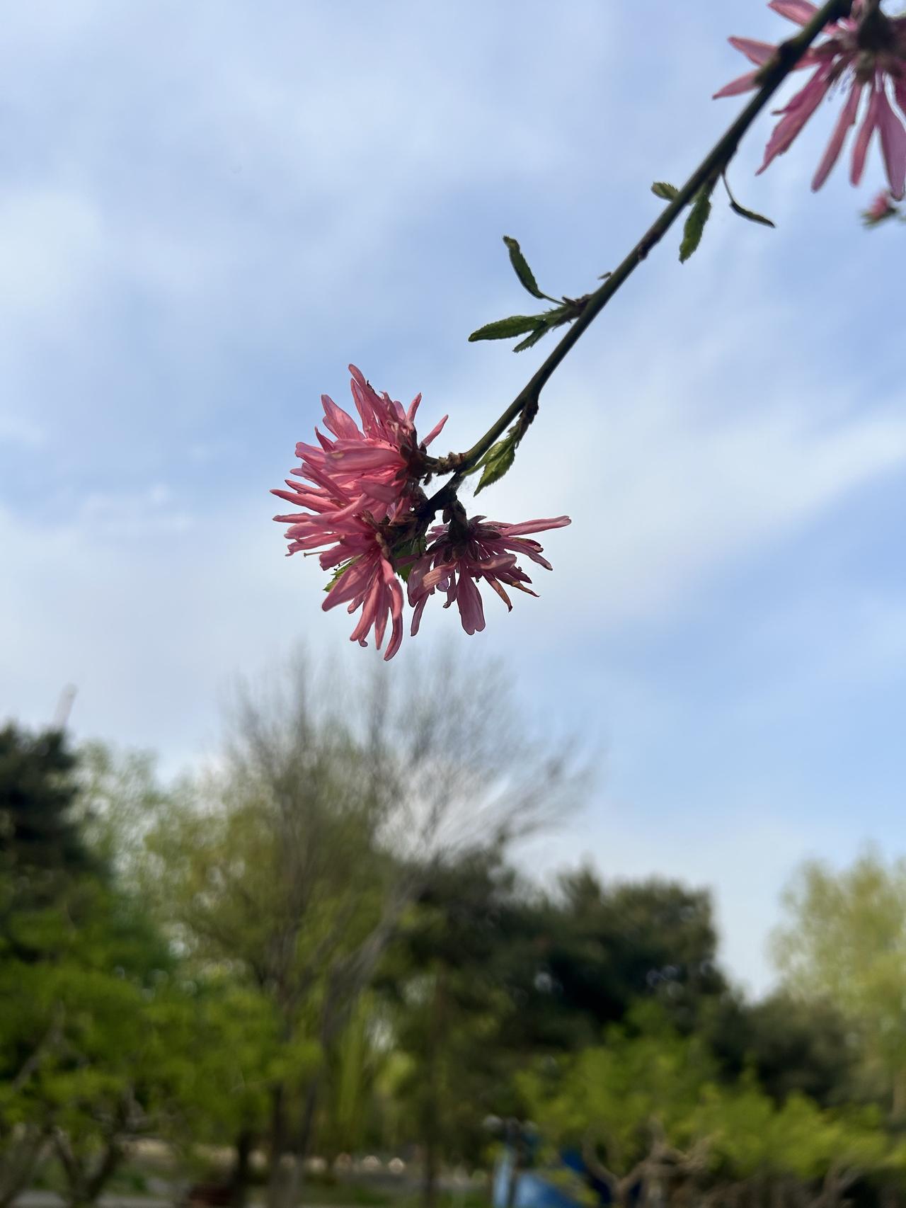 人老实话不多！“人老实话不多”，这句话要看怎么跟分句！“人老实，话不多”