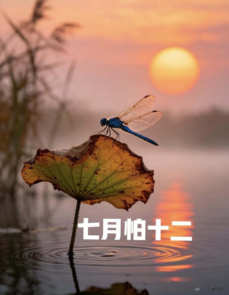 老话说“七月怕十二”，明日七月十二，有啥怕的？看老人咋说民间常听老话“七月