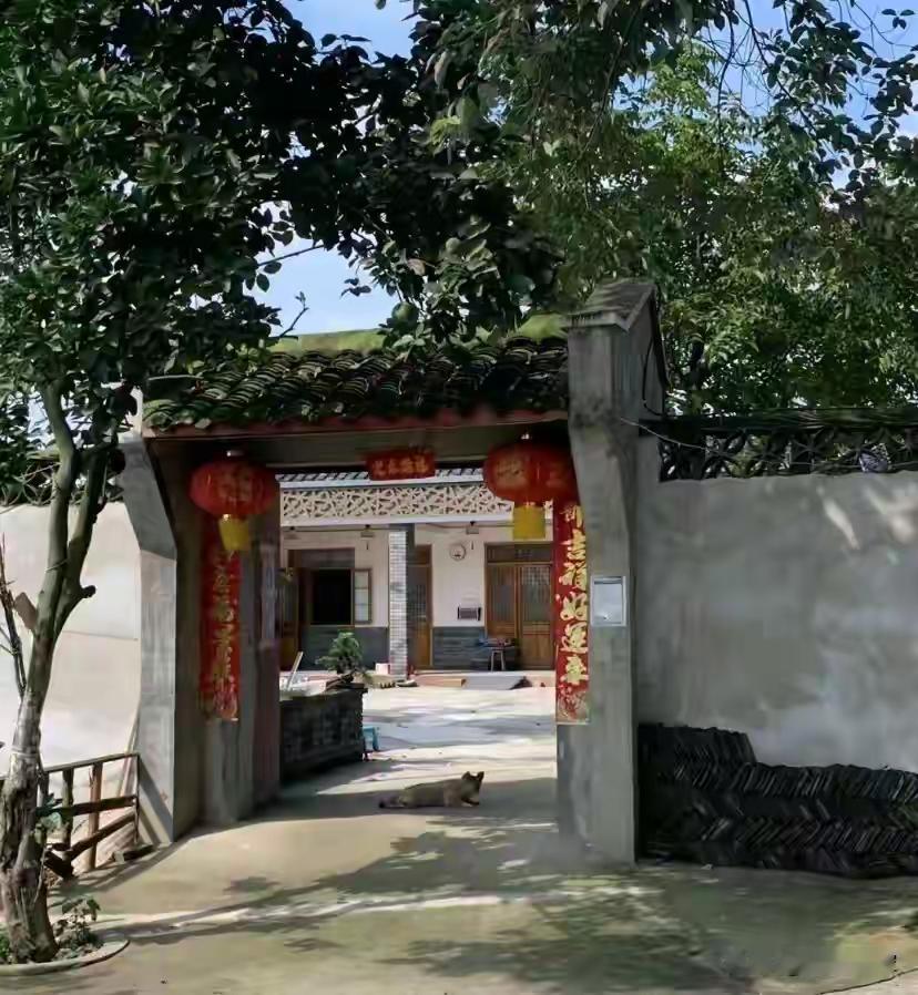 姑父去世，父亲接72岁大姑来家里养老，母亲一个举动，父亲红了眼去年二月，