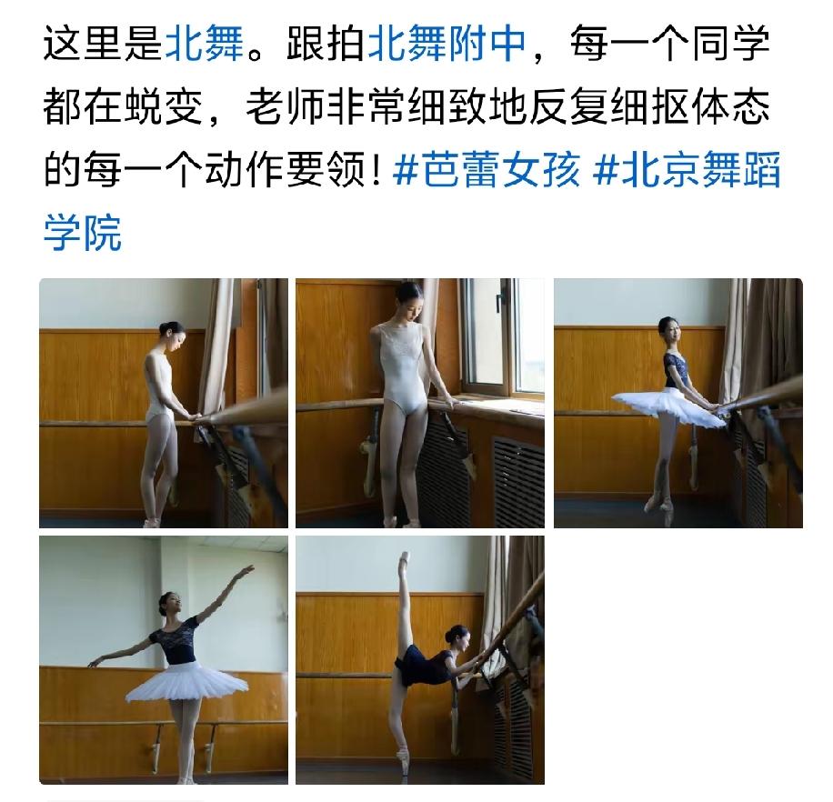 芭蕾舞都是外国的产物，在中国这么多年还是水土不服