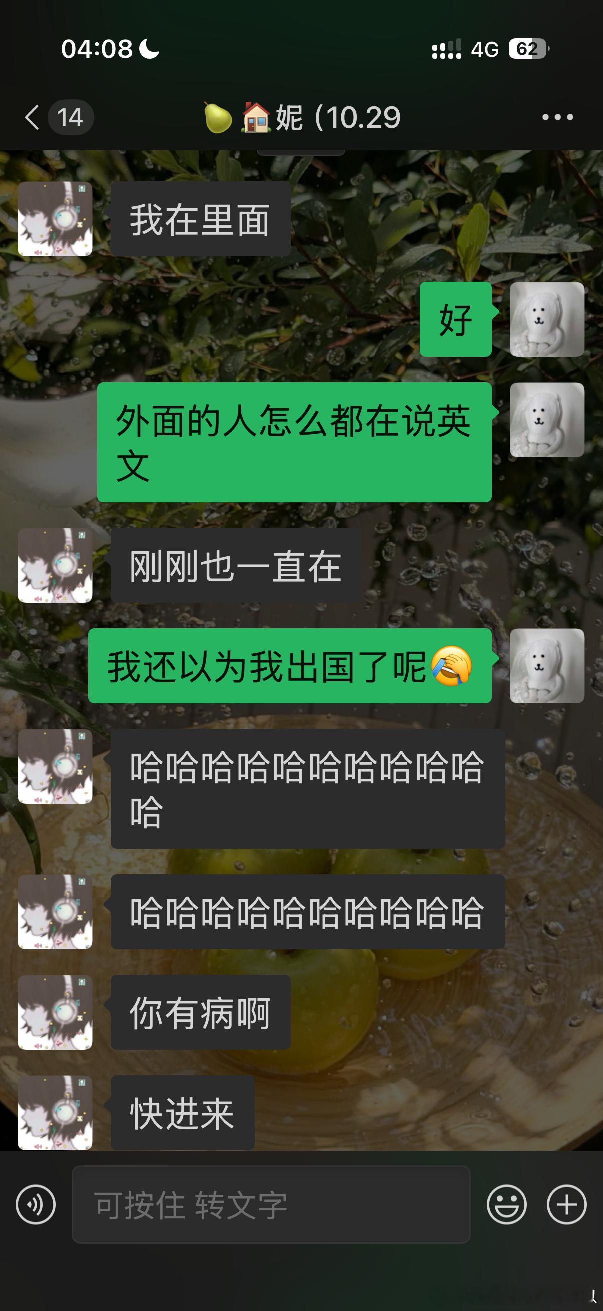 上海大都市、