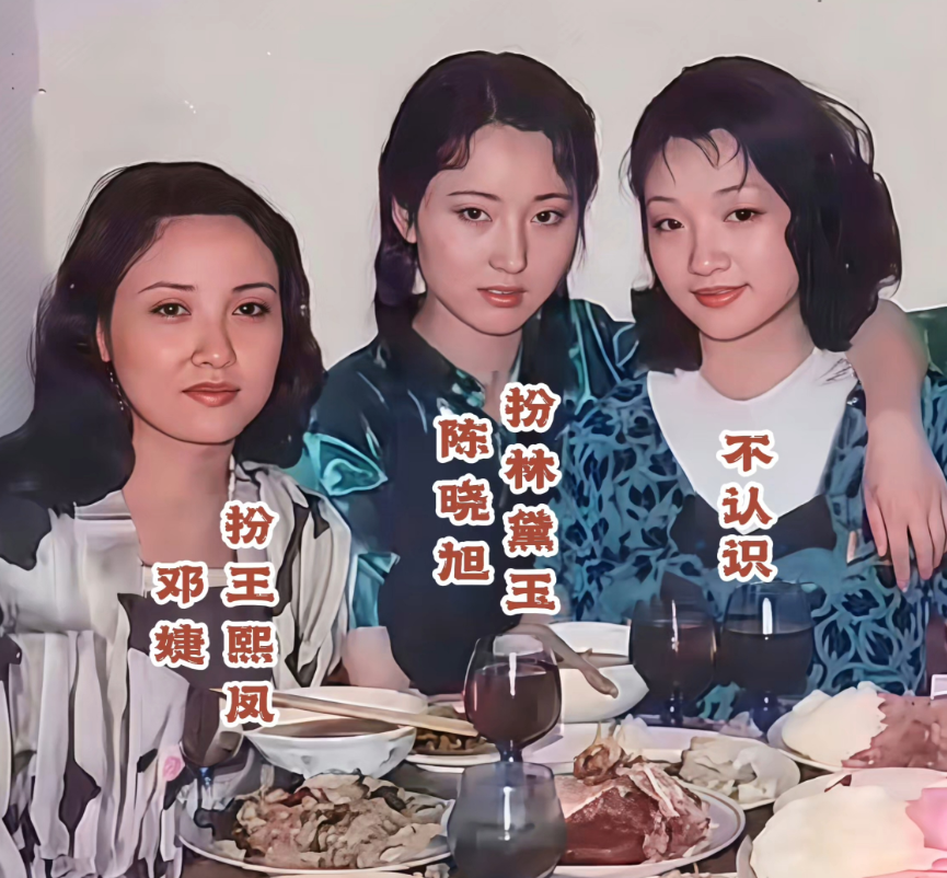 红楼梦，邓婕，陈晓旭，陈力，等在一起合影留念，永恒的回忆！你喜欢哪位？