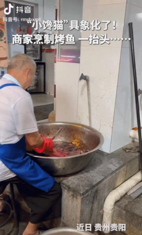 “哭笑不得！”贵州贵阳，一烤鱼店老板正埋头烤鱼，翻面、撒料忙得热火朝天。谁料猛一