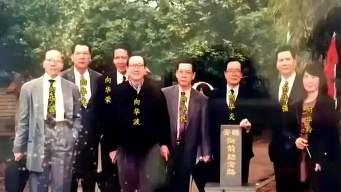 73岁的向华强，被最信任的副手卷走10个亿后，终于想通了一件事。他早就看透，电