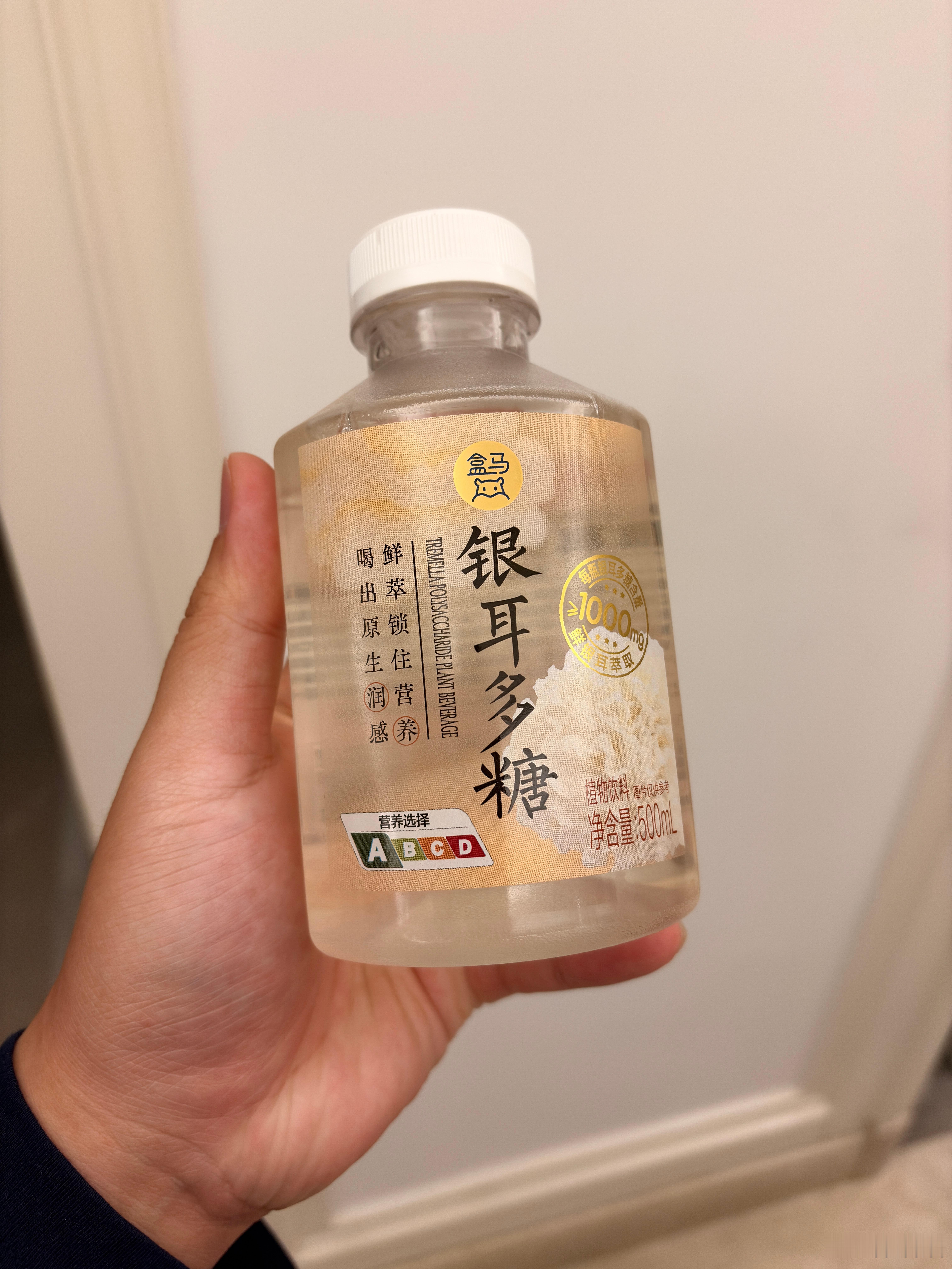 这起的是什么破名字？？？