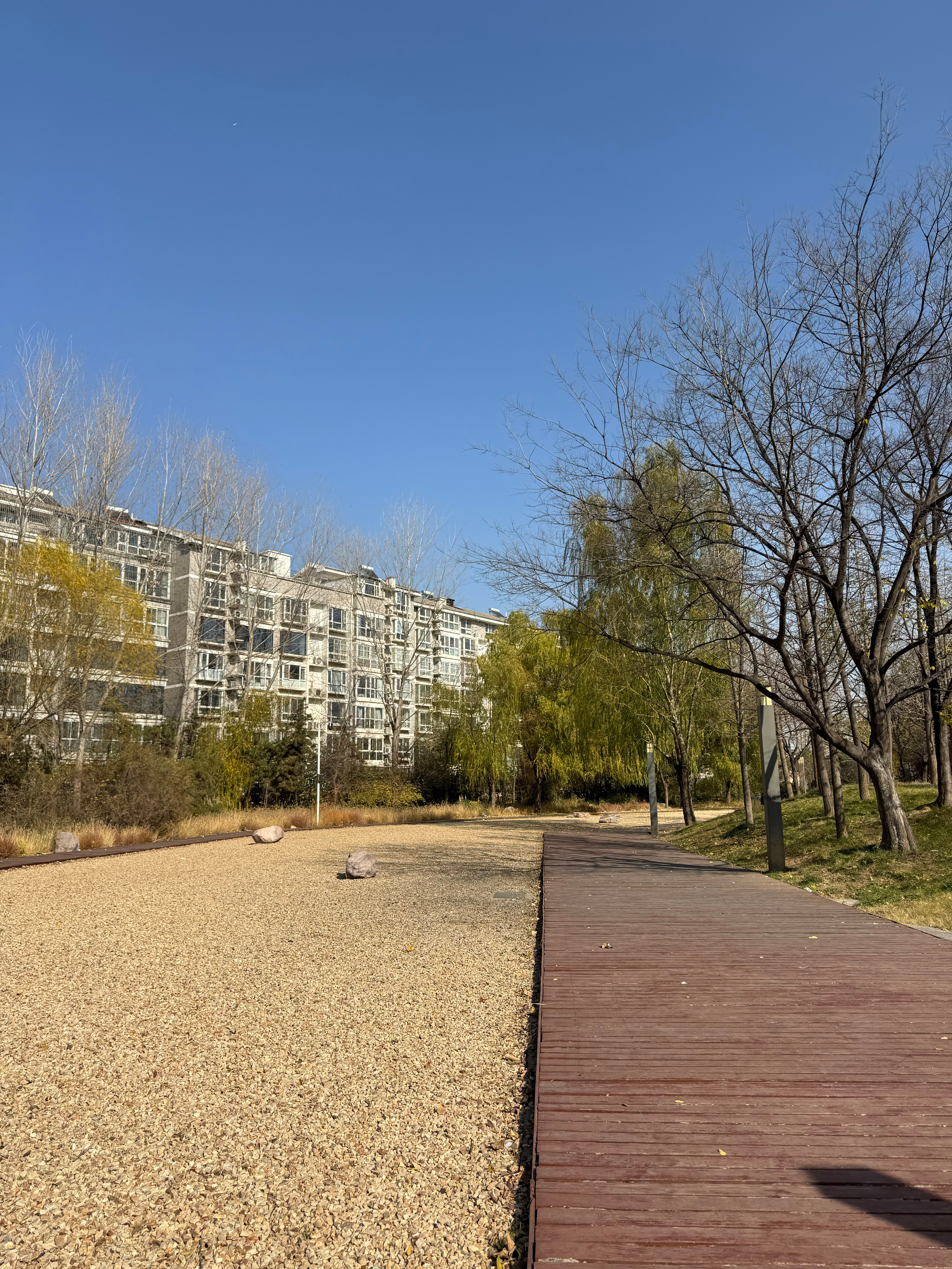 跑步今天的天气格外晴朗，风力较大，对跑步有些许挑战。我依然完成了5000米的跑