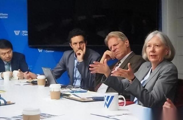 据中文媒体2025年7月的报道，美国智库战略与国际问题研究中心（CSIS）此前抛