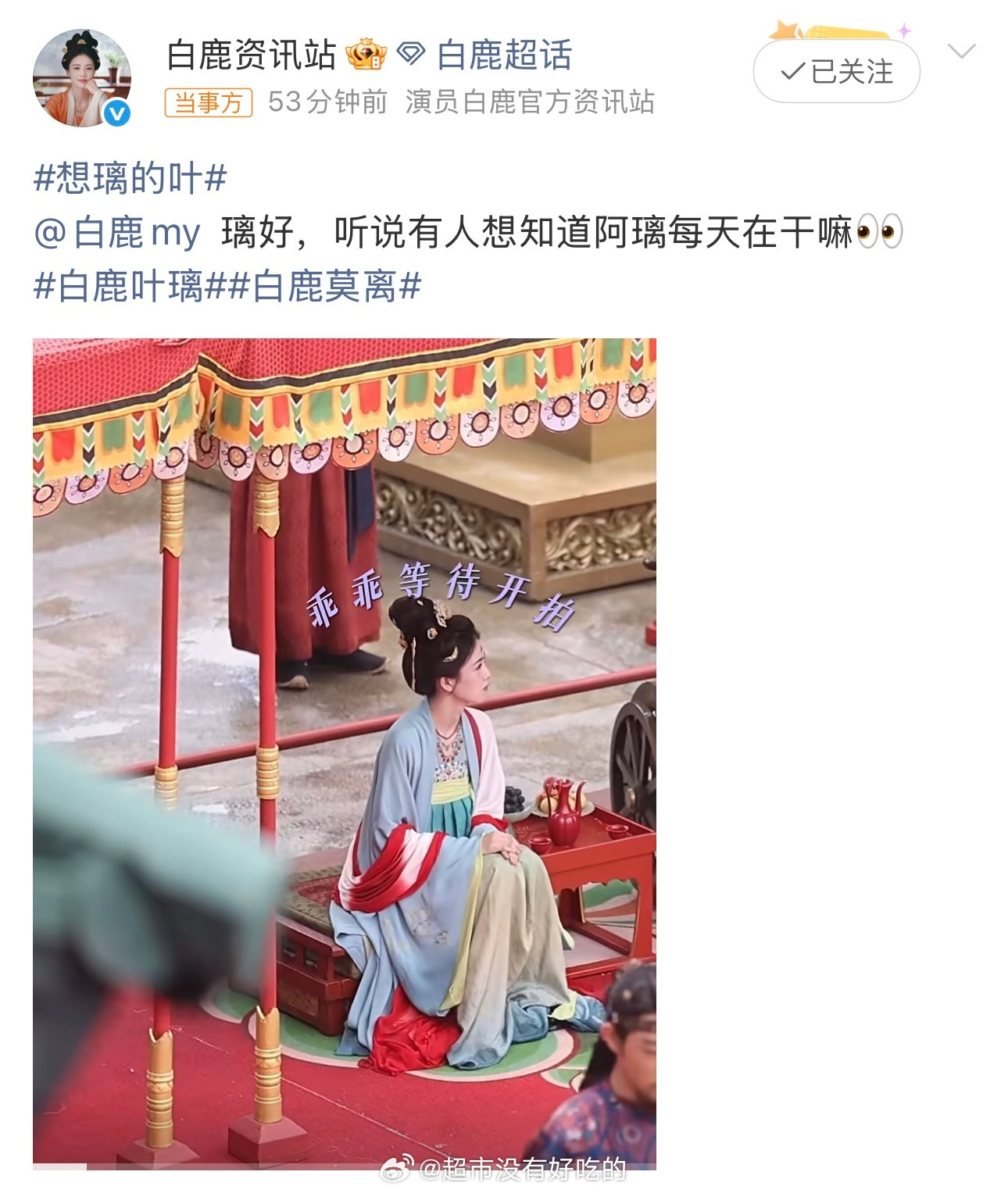 白鹿喝茶替身白鹿脊椎后遗症白鹿方算是回应这个rs了，真wwzz白鹿替身花絮