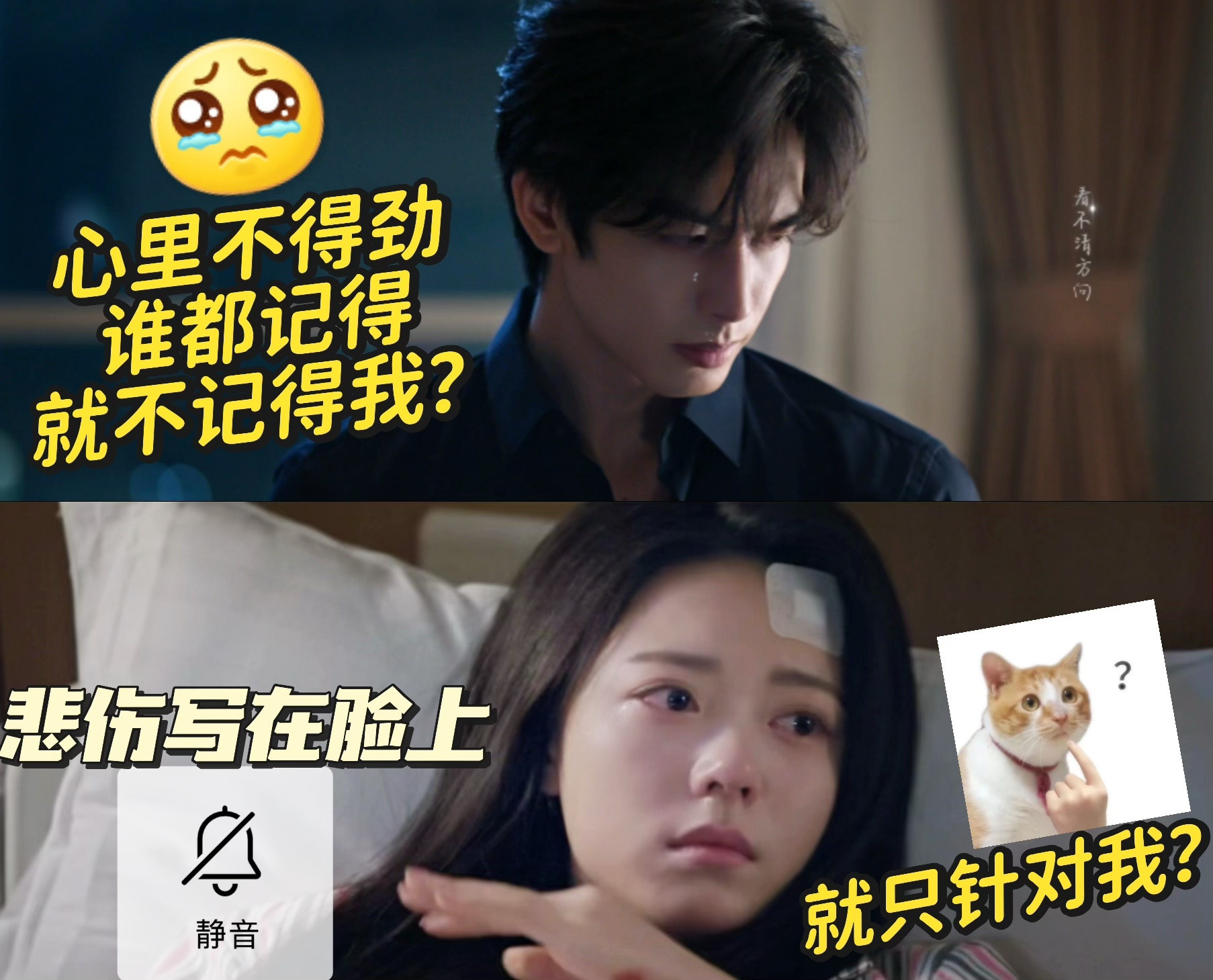 骄阳似我我的评分：林屿森聂曦光错位文学《骄阳似我》里这俩人的拉扯感太绝了