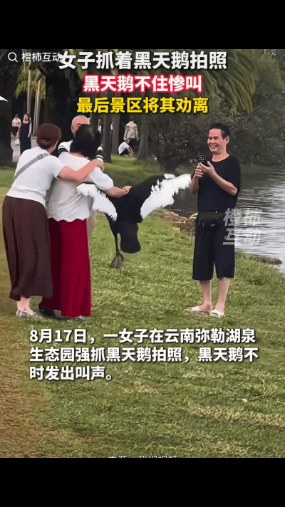 “太坏了！”云南弥勒湖泉生态园，一个老年团前来旅游，其中一名大妈直接上手抓住一