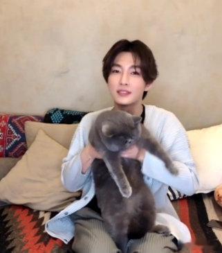 #炎亚纶#aayan聊猫逗狗的日常2.0漂亮小炎＆大卡车肥猫小蓝​