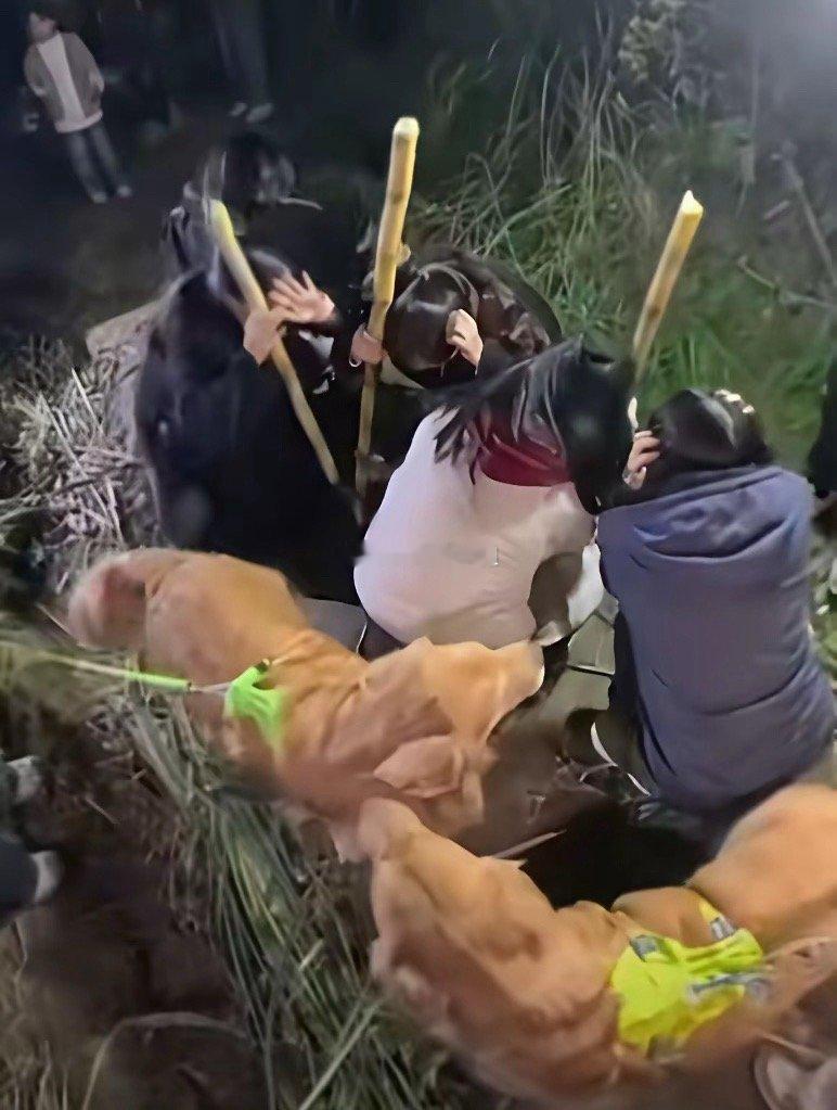 “偷甘蔗”活动，老板笑不起来了。“偷甘蔗”活动爆火。老板由最初开心的自嘲人多，“