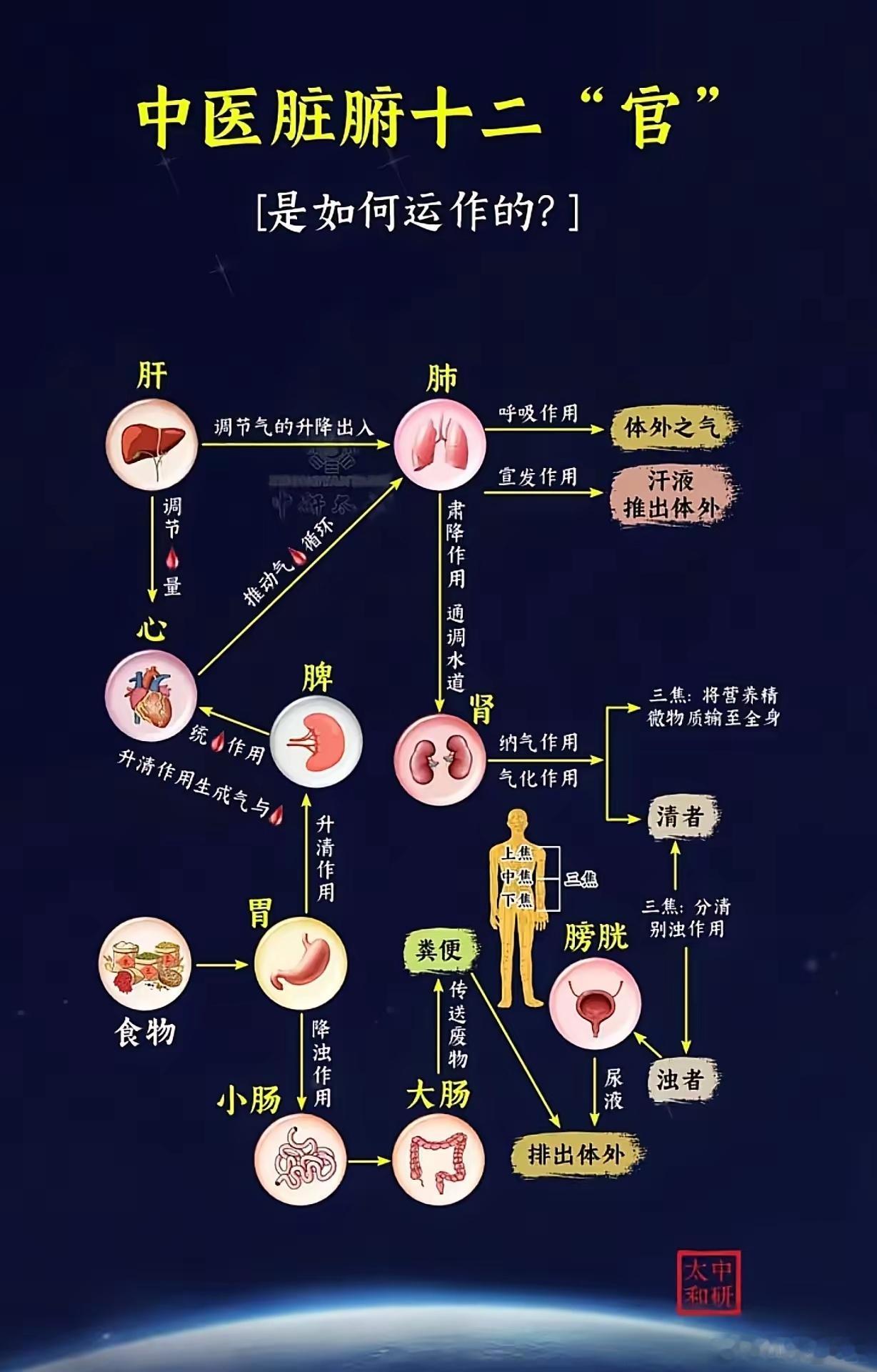 中医药名句摘录31、凡诸痛皆属火，寒凉药不可峻用，必用温散之药。诸痛不可用参，补