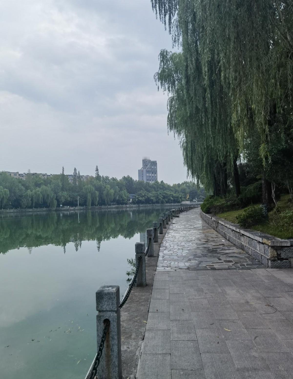 一位57岁的老教师，教了一辈子书，带了一辈子班，评高级职称却年年陪跑。他不是不