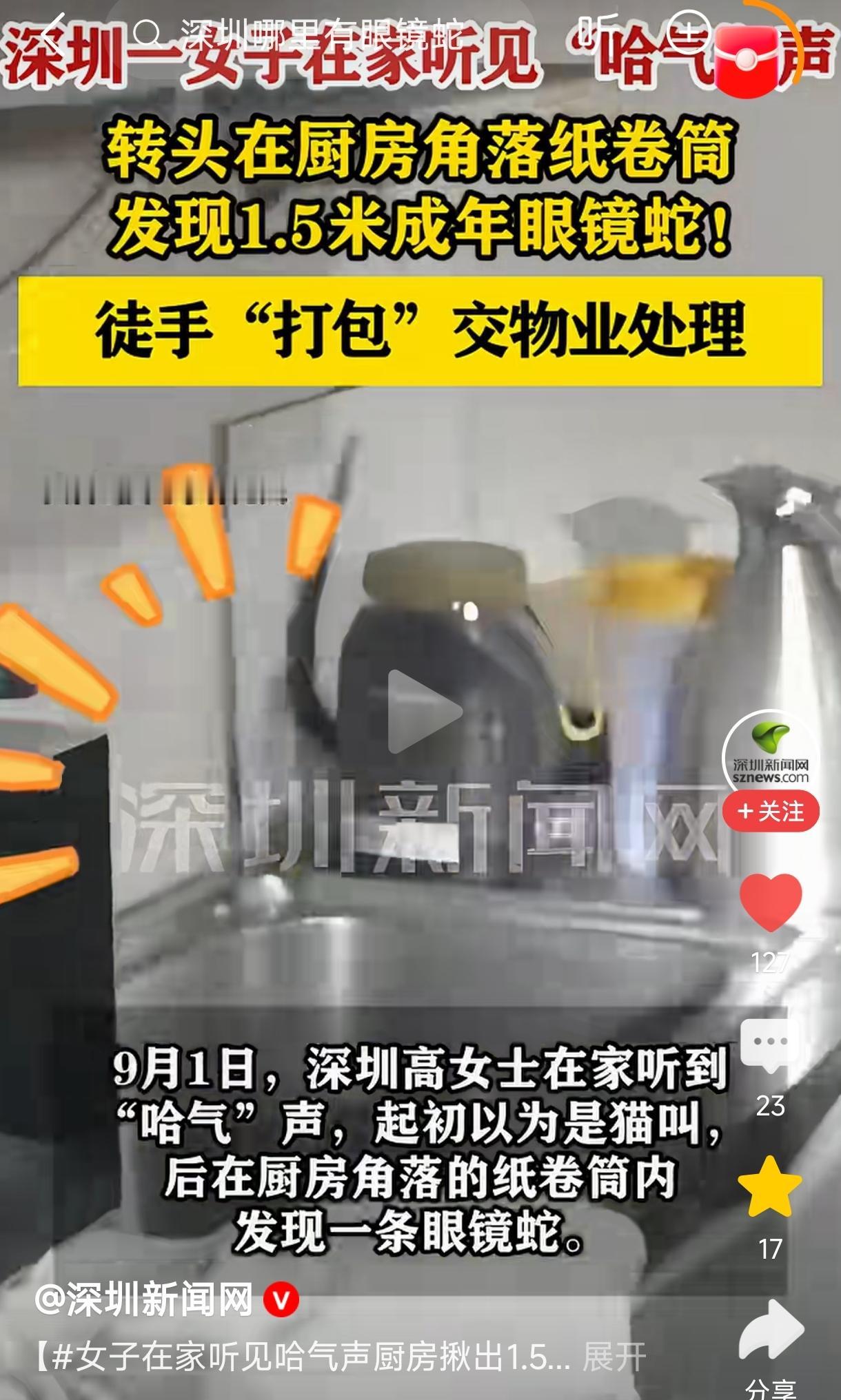 “太吓人了!”深圳一女子在厨房忙活时，听到奇怪的哈气声，起初以为是小猫，过了一会